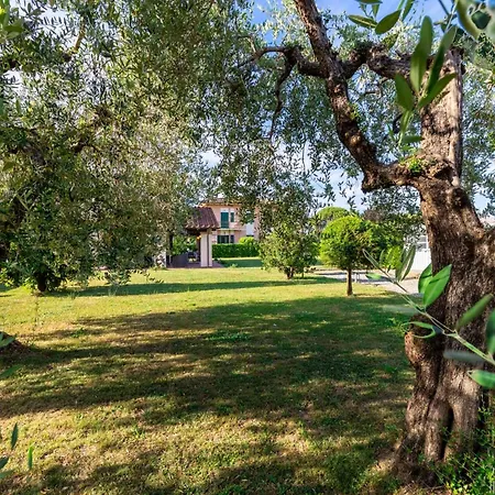 In With Garden Villa *